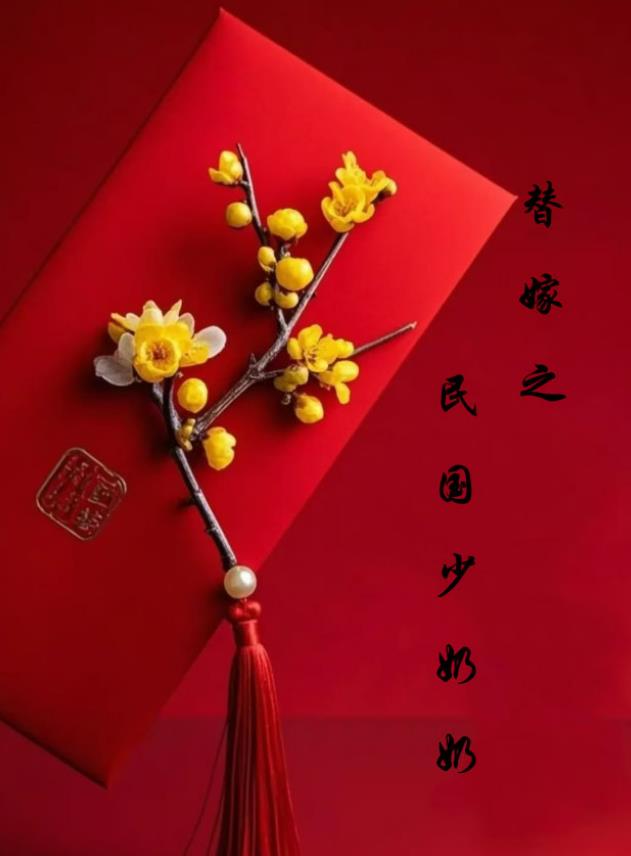 替嫁之民国少奶奶