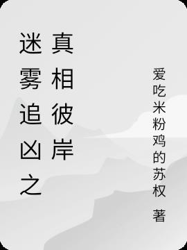 迷雾追凶之真相彼岸