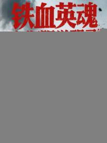 铁血英魂之衡阳觉醒录